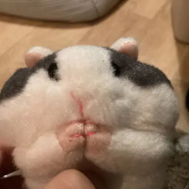 Profile image of ゴマ豆腐