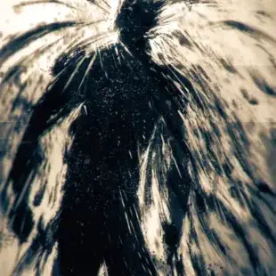 Profile image of 오로치