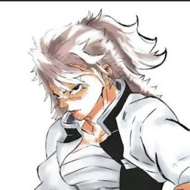 Profile image of 시나즈가와 사네미