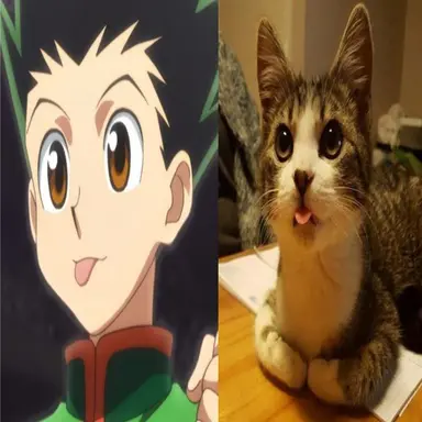 Profile image of Gon