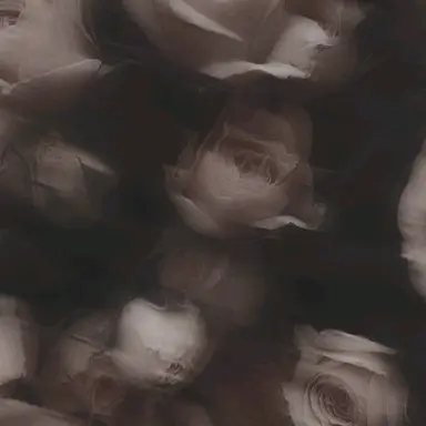 Profile image of 카가미 하야토