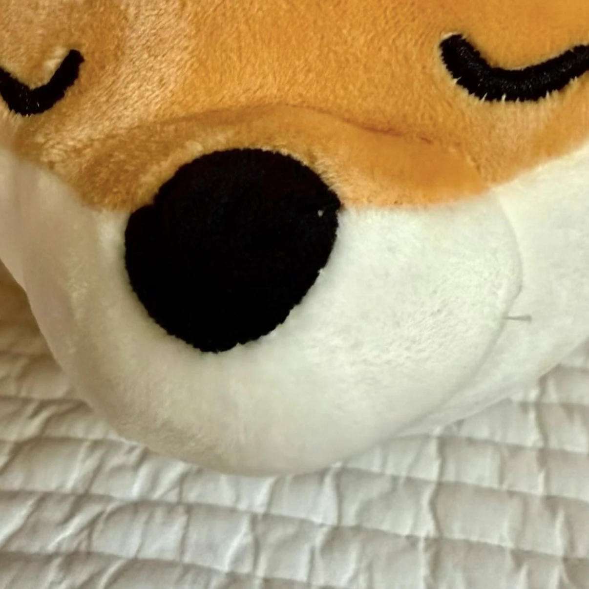 마법 학교