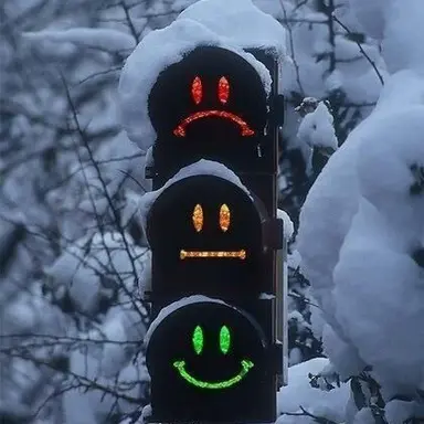 Profile image of 유기사