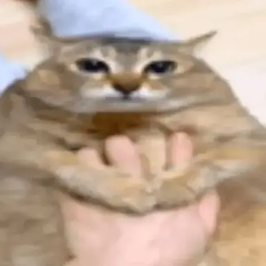 Profile image of RDR2 pick-me