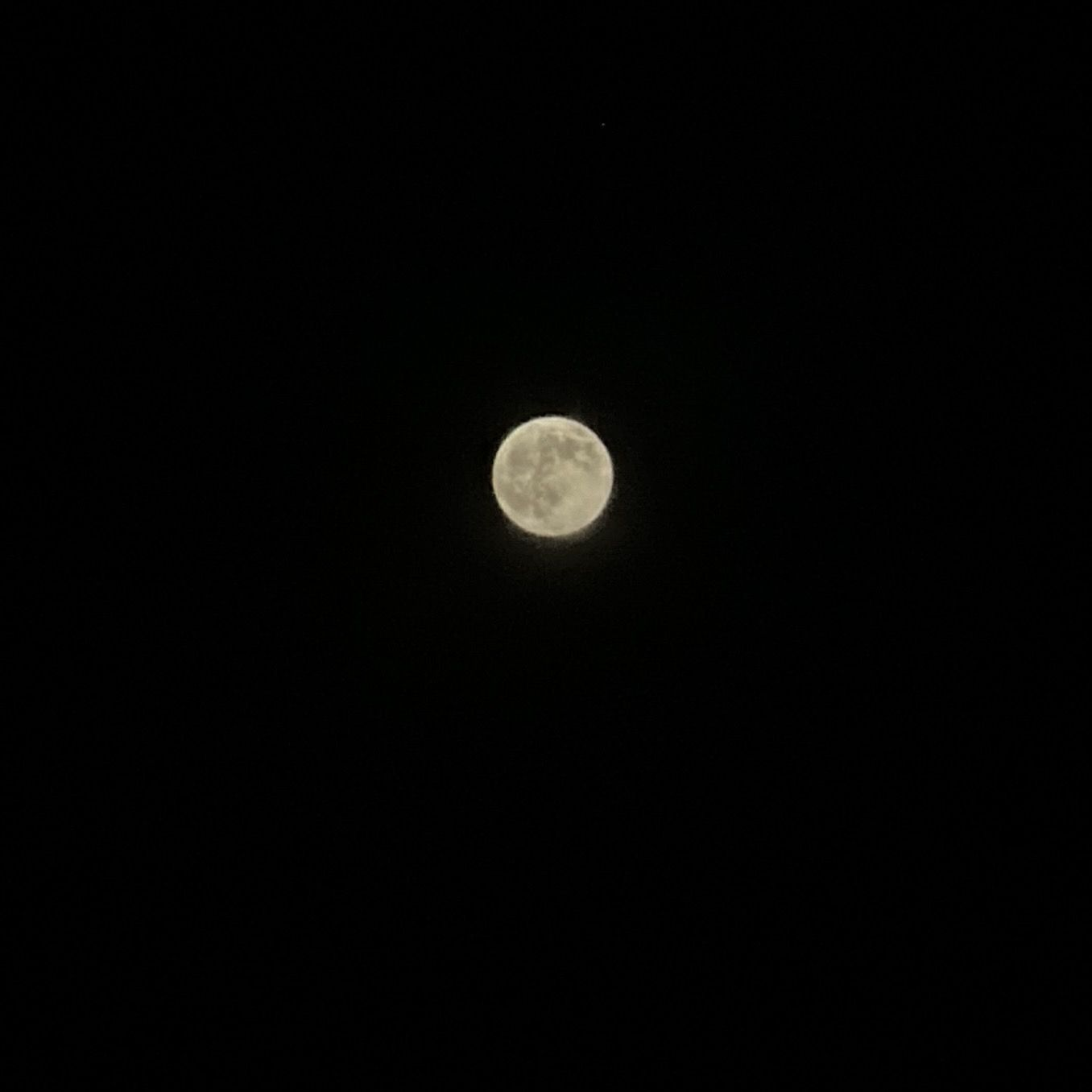 키스만 하는 사이 대표 이미지