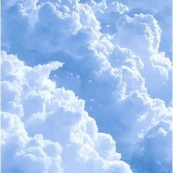 Profile image of 박잠뜰