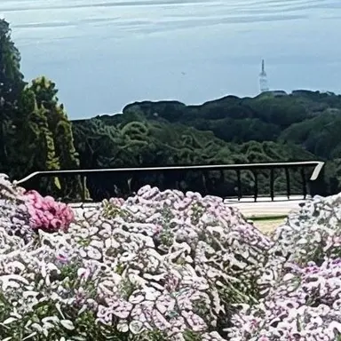 Profile image of 봉근대