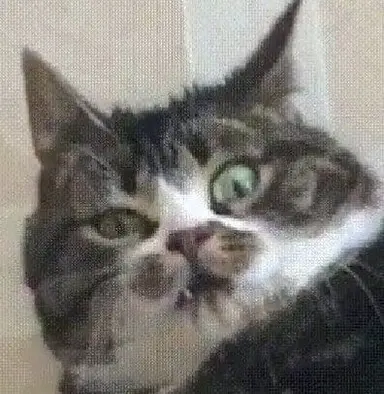 Profile image of リヴァイ