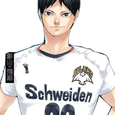 Profile image of 影山 飛雄