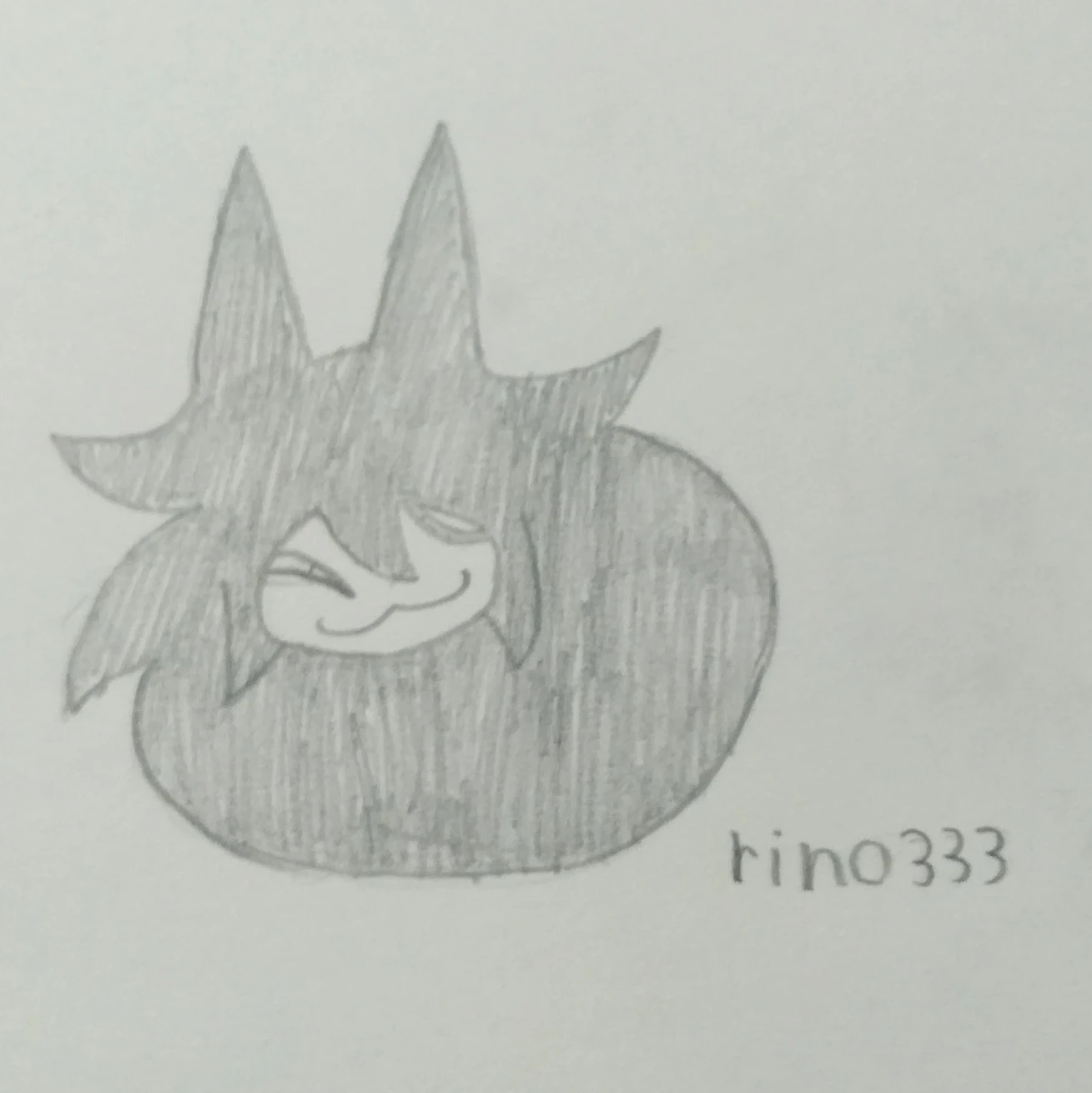 ミスサークル