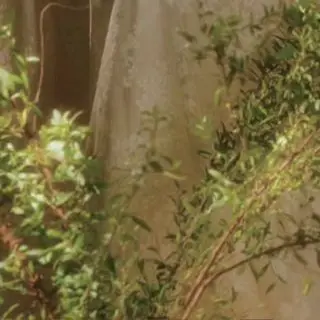 Profile image of 伊波ライ
