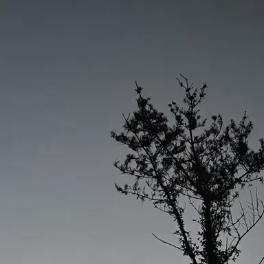 Profile image of 海