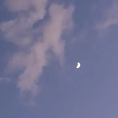 Profile image of 황수현