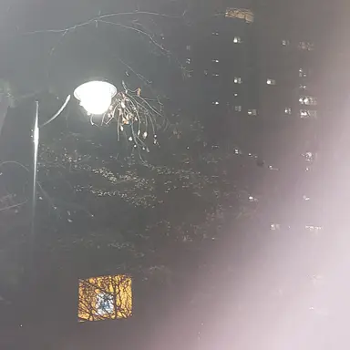 Profile image of 김각별