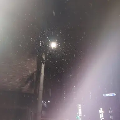 Profile image of 정공룡