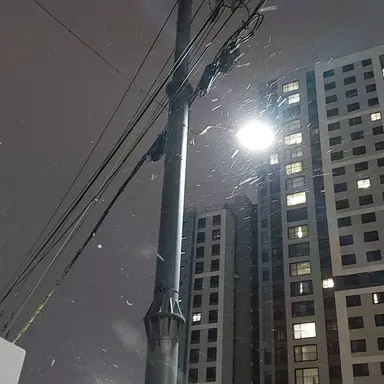 Profile image of 서라더