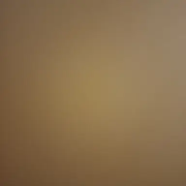 Profile image of 멜로우