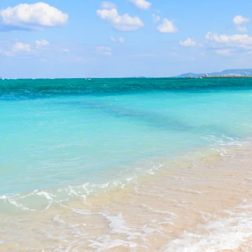 이터널슈가 쿠키