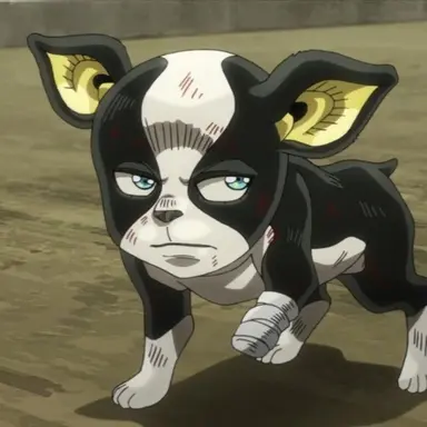 Profile image of Iggy
