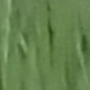 Profile image of 신정환