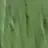 신정환