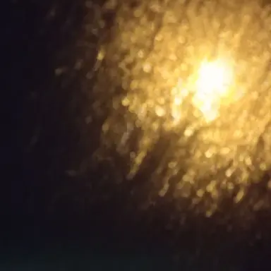 Profile image of 덕개