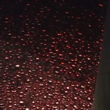 Profile image of 라더