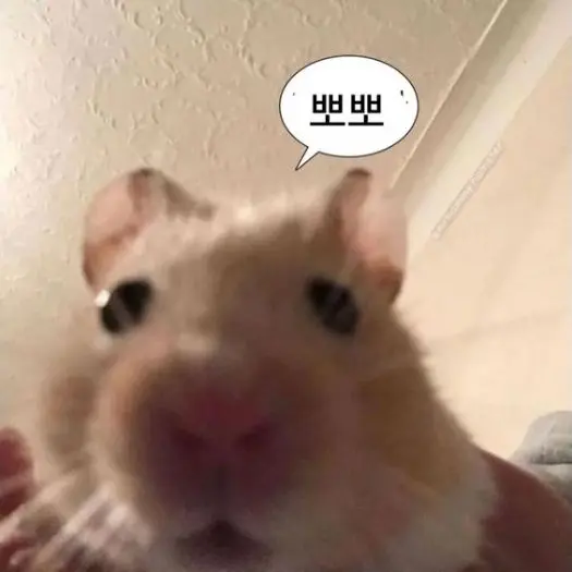 RareTax8398의 고죠 사토루💗💗