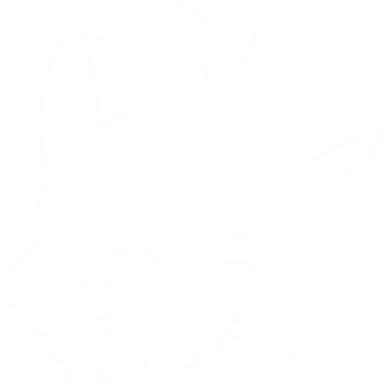 Profile image of 멍쟤현