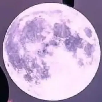 Profile image of 수경위