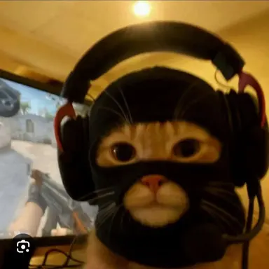 Profile image of 테러 고양이