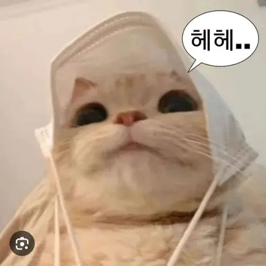 Profile image of 이상한고양이