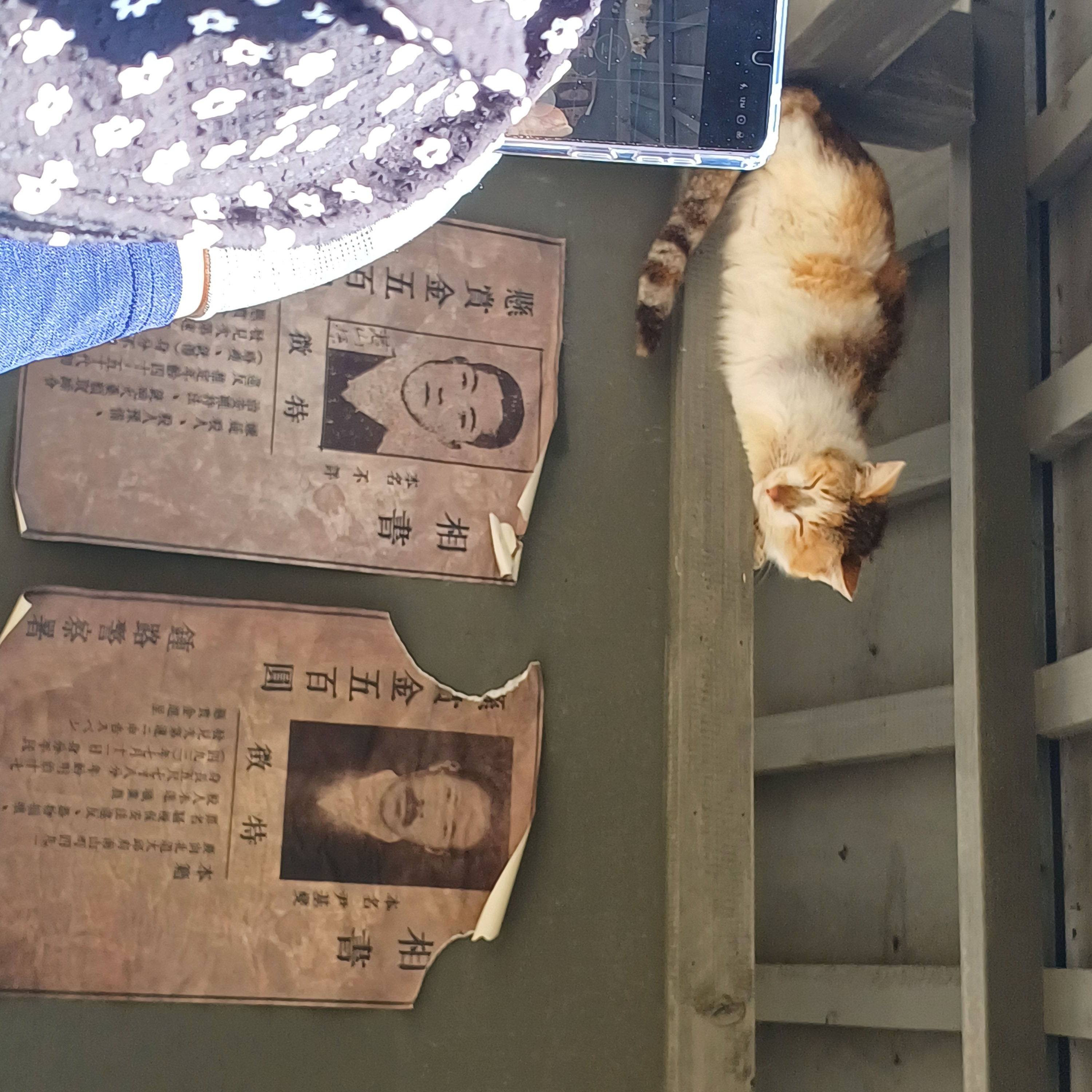 생존수영 대표 이미지