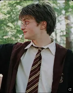 Profile image of Harry Potter