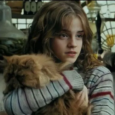 Profile image of Hermione Granger