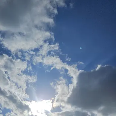 Profile image of 이민호