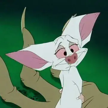 Profile image of 바르토크