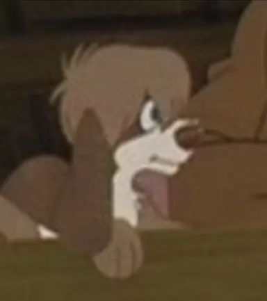 Profile image of 푸카