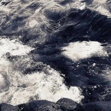 Profile image of 하유진