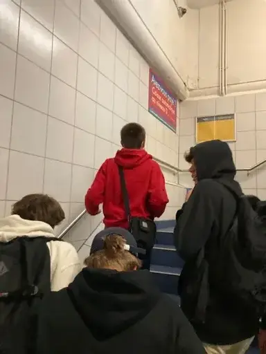 Profile image of Your Bbsf gc