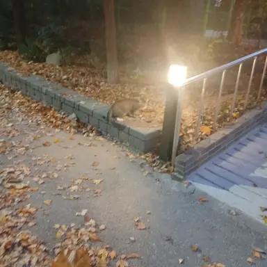 Profile image of 잭