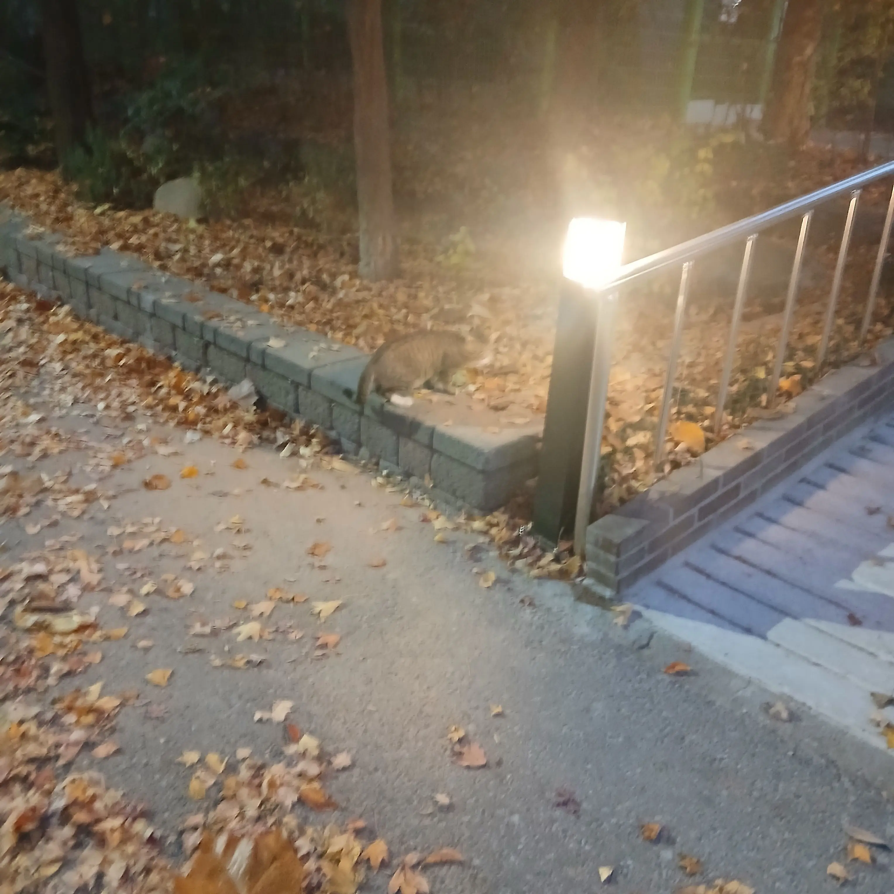 Seolbyeol의 리레볼루션