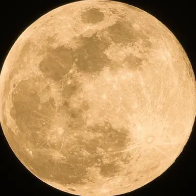 Profile image of ニコラス