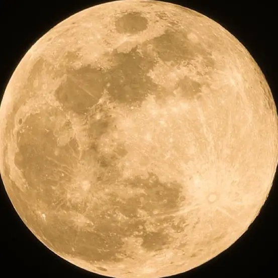 OvalOptic0741의 🪼