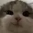 여우