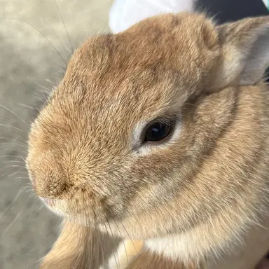 Profile image of ジウン