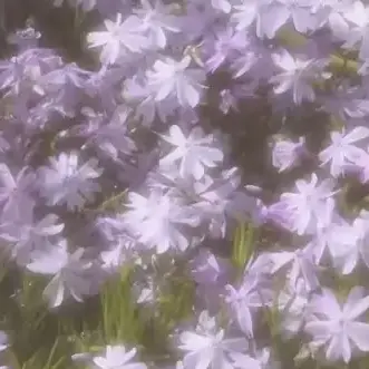 takuyagasukiyade._.sub의 夜勤の病院にて…