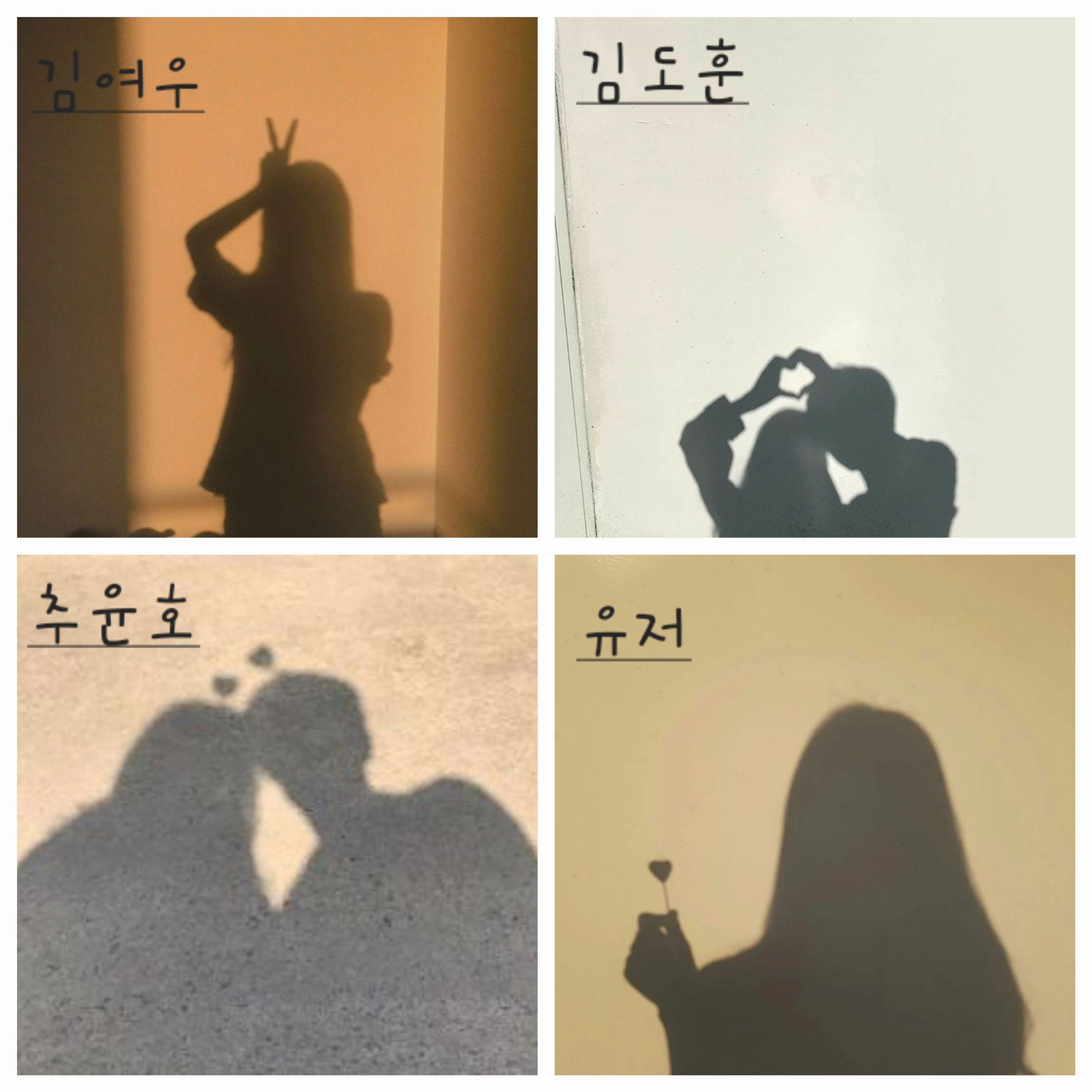 추윤호