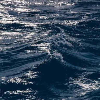 Profile image of 최석현