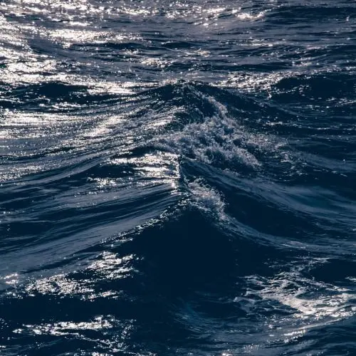 White-shoes의 초능력 혁명군